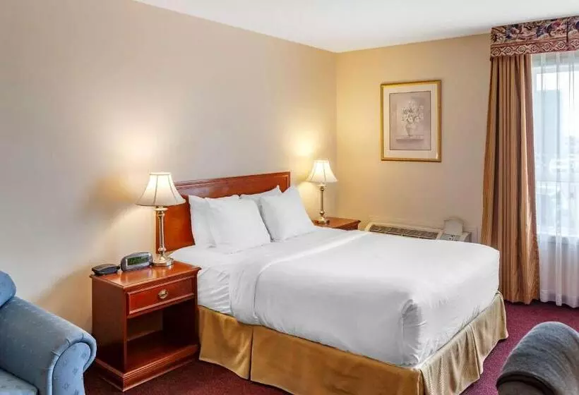 スタンダードルーム, Quality Inn & Suites Edmonton International Airport