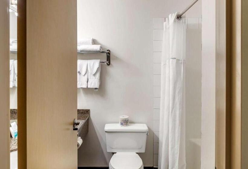 スタンダードルーム, Quality Inn & Suites Edmonton International Airport