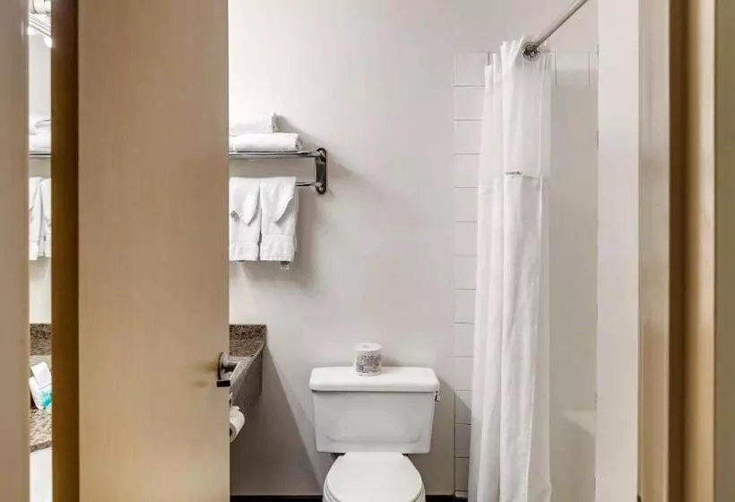 スタンダードルーム, Quality Inn & Suites Edmonton International Airport