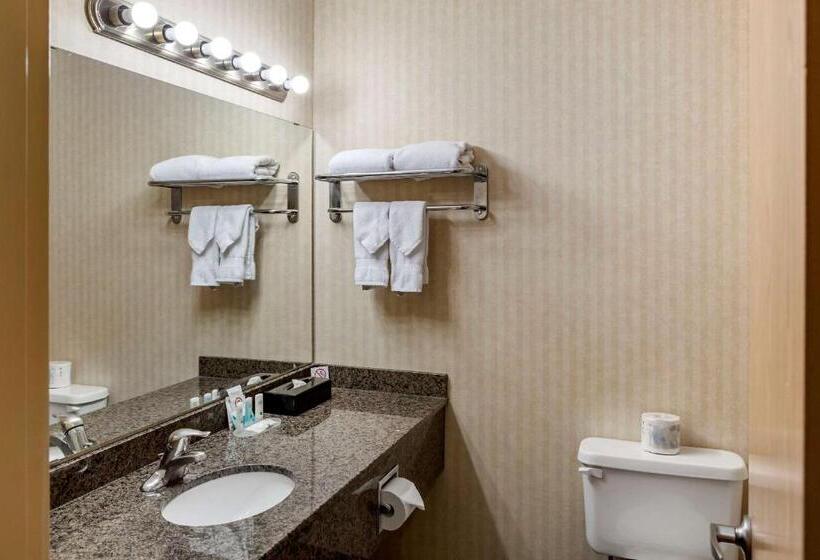 スタンダードルーム, Quality Inn & Suites Edmonton International Airport