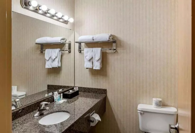 スタンダードルーム, Quality Inn & Suites Edmonton International Airport