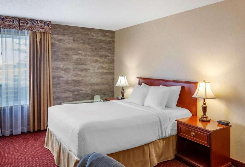 スタンダードルーム, Quality Inn & Suites Edmonton International Airport