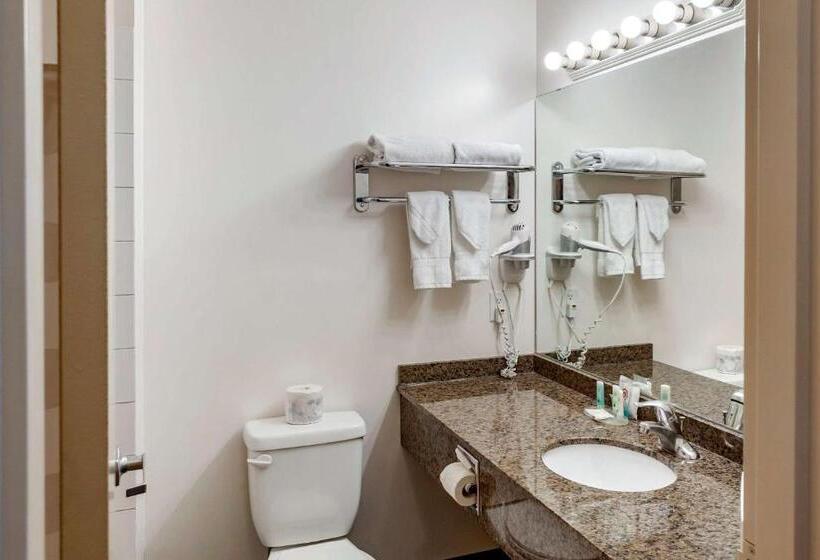 スタンダードルーム, Quality Inn & Suites Edmonton International Airport