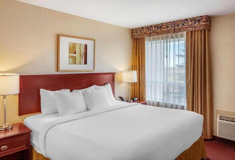キングサイズベッドのスタンダードルーム, Quality Inn & Suites Edmonton International Airport