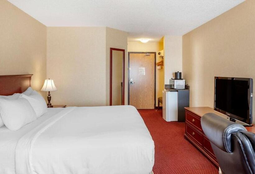 キングサイズベッドのスタンダードルーム, Quality Inn & Suites Edmonton International Airport