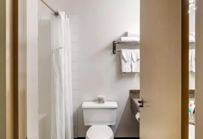 キングサイズベッドのスイートルーム, Quality Inn & Suites Edmonton International Airport