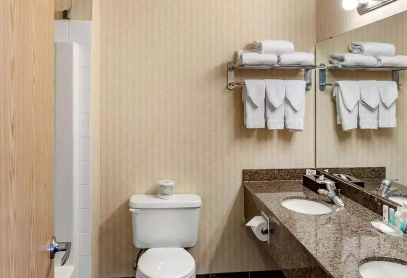 キングサイズベッドのスイートルーム, Quality Inn & Suites Edmonton International Airport