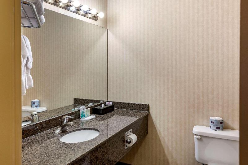 キングサイズベッドのスタンダードルーム, Quality Inn & Suites Edmonton International Airport