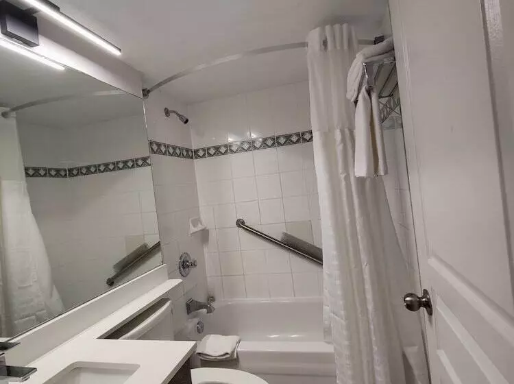 バルコニー付き１ベッドルームアパートメント, Divya Sutra Suites On Robson Downtown Vancouver