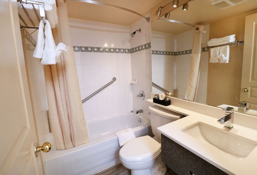 带1个卧室的带阳台的公寓, Divya Sutra Suites On Robson Downtown Vancouver