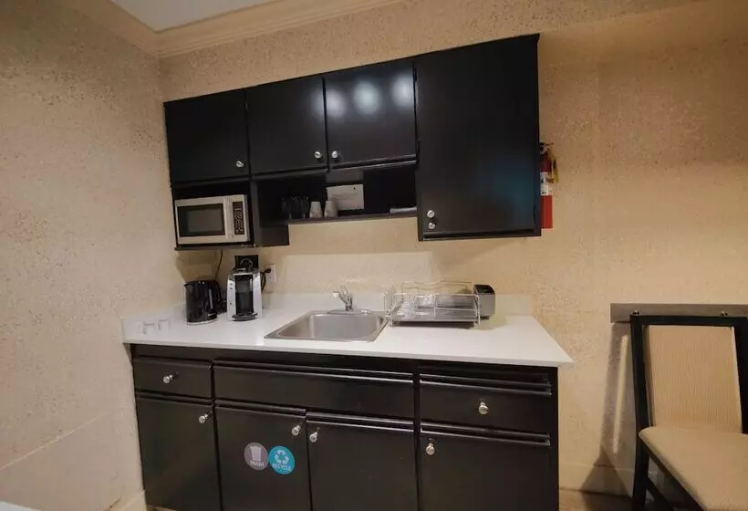 バルコニー付き１ベッドルームアパートメント, Divya Sutra Suites On Robson Downtown Vancouver