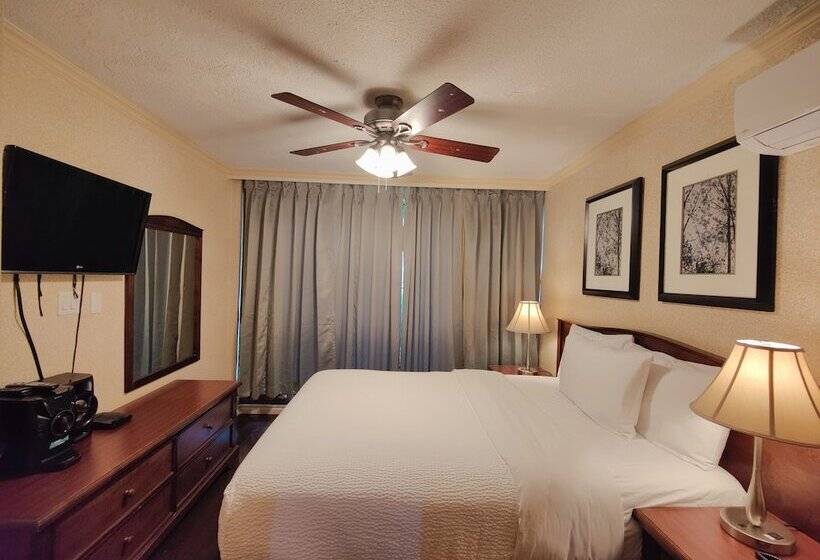 Апартаменты 1 Спальня, Divya Sutra Suites On Robson Downtown Vancouver