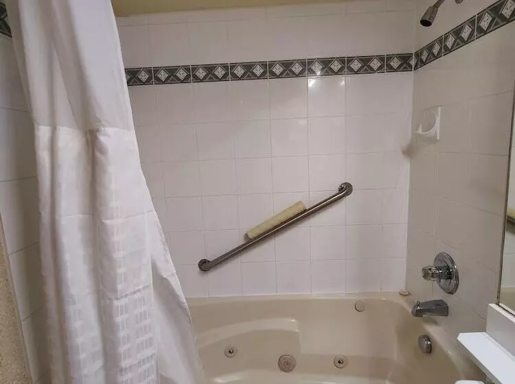 １ベッドルームアパートメント, Divya Sutra Suites On Robson Downtown Vancouver