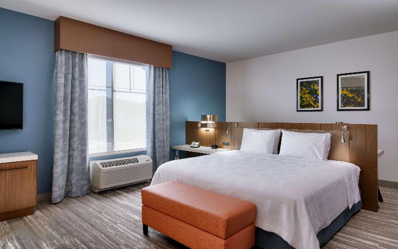 Номер Стандарт Кровать Кинг Адаптированный для Инвалидов, Hilton Garden Inn Prescott Downtown