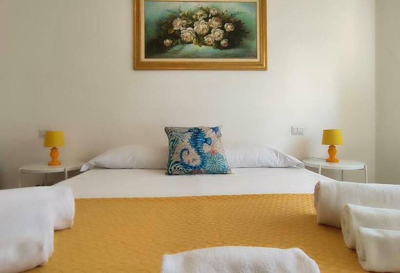 اتاق استاندارد, Hippocampus B&b