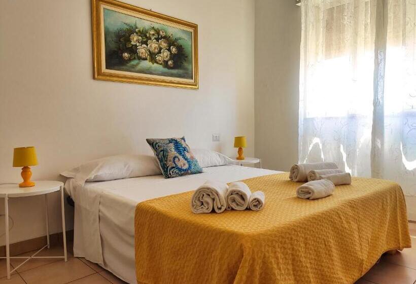 غرفة قياسية, Hippocampus B&b