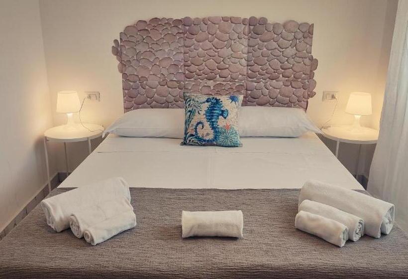 غرفة قياسية, Hippocampus B&b