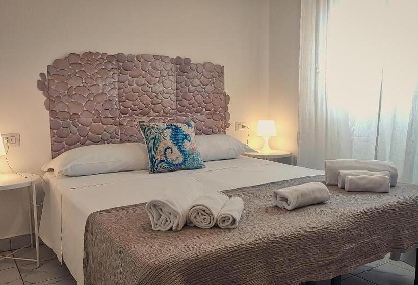 غرفة قياسية, Hippocampus B&b