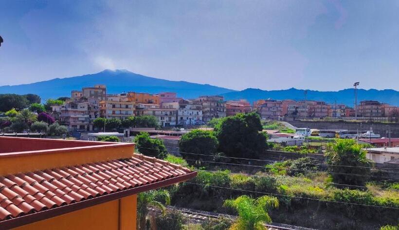 غرفة قياسية ثلاثية, Hippocampus B&b