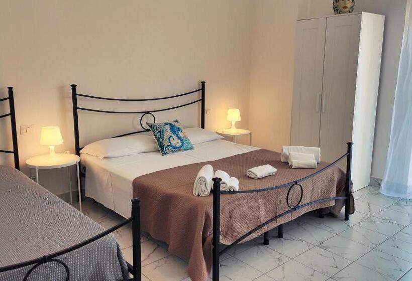 غرفة قياسية ثلاثية, Hippocampus B&b