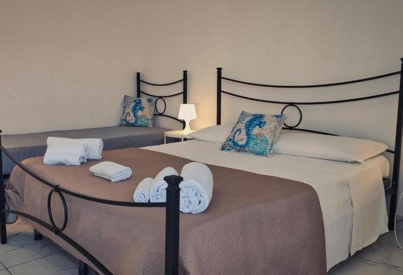 غرفة قياسية ثلاثية, Hippocampus B&b