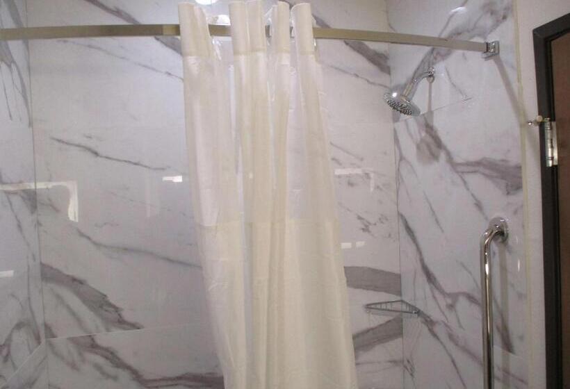 جناح سرير كينج, Best Western Plus Chickasha Inn