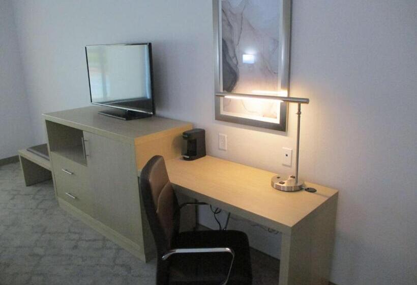 جناح سرير كينج, Best Western Plus Chickasha Inn