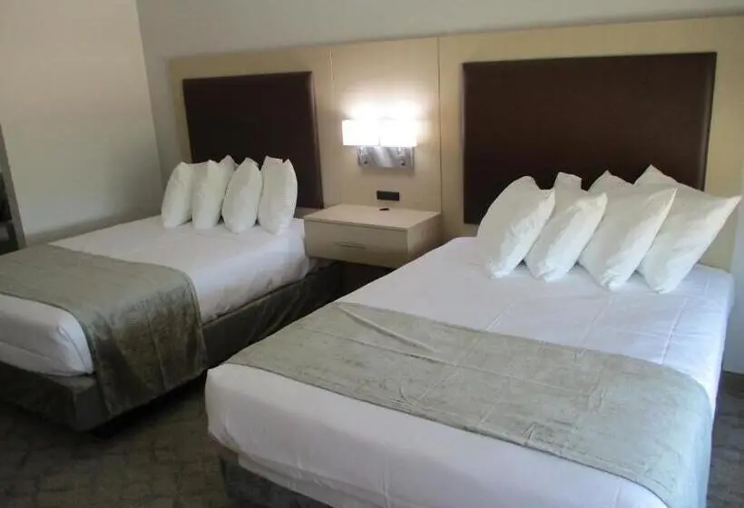 スタンダードルーム, Best Western Plus Chickasha Inn