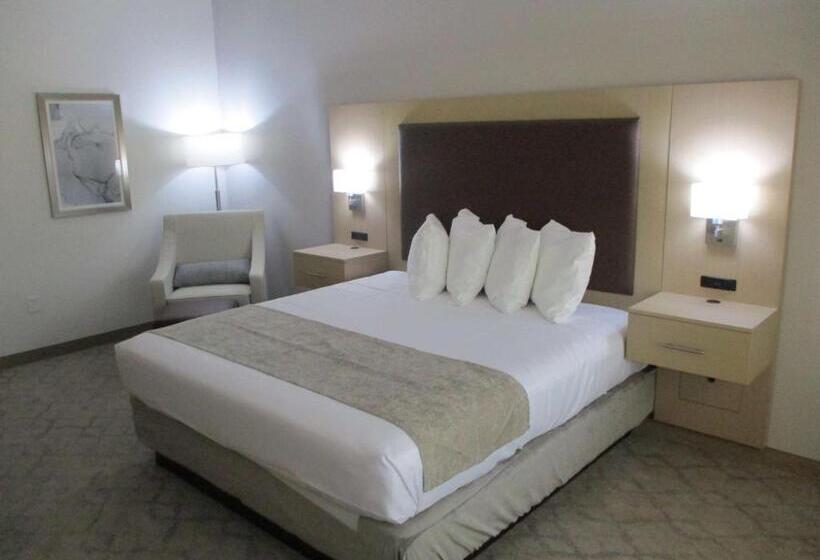 غرفة قياسية سرير كينج لذوى الإحتياجات الخاصة, Best Western Plus Chickasha Inn