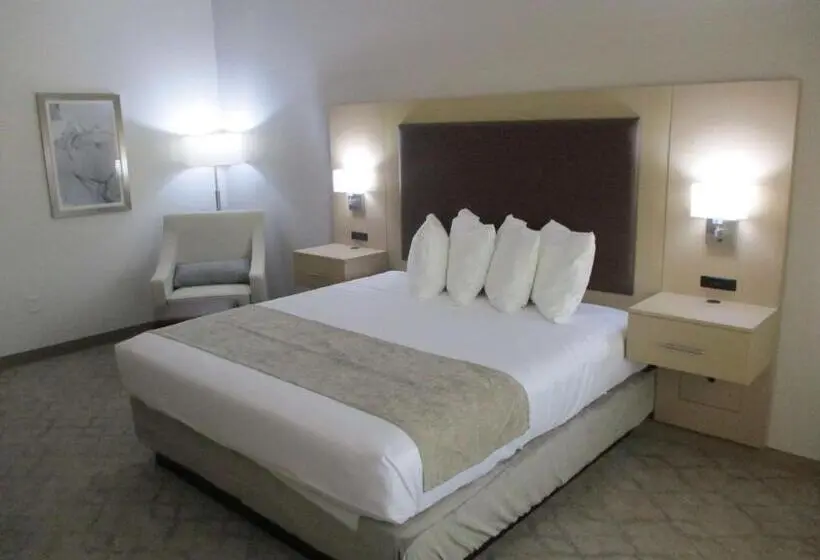 キングサイズベッドのスタンダードルーム, Best Western Plus Chickasha Inn