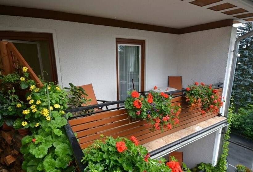 Quarto standart individual, Central