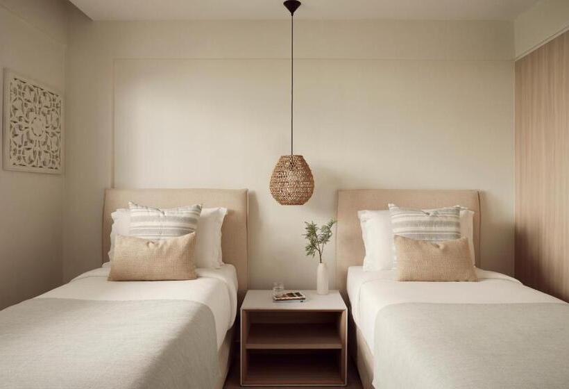 جناح, Mare Paphos