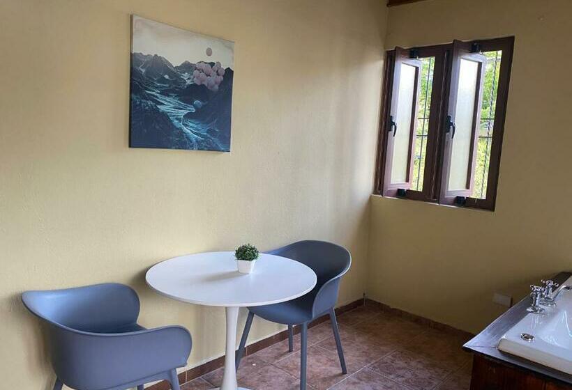 استودیوی لوکس, Verde Bonavita