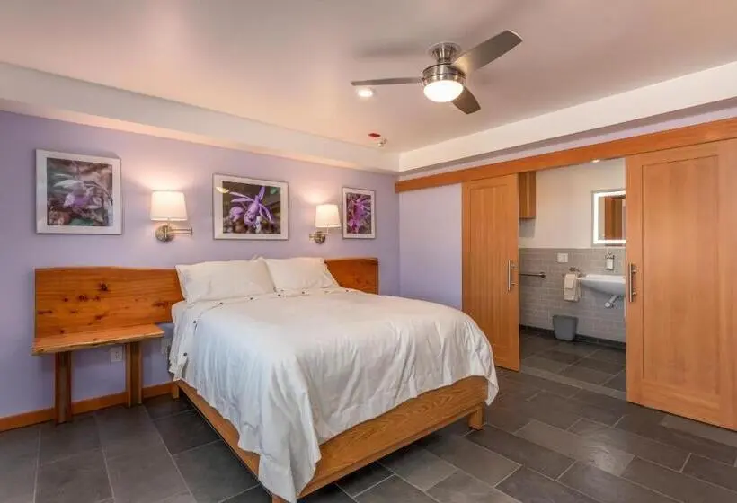 身障者適用スタンダードルーム, Wildflower Boutique Motel