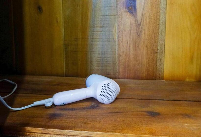 اتاق استاندارد, Jen