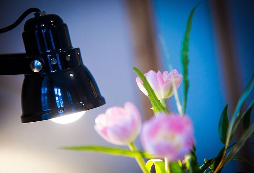 اتاق ساده با بالکن, Anna 1908