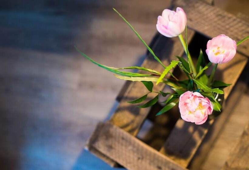 اتاق خانوادگی, Anna 1908