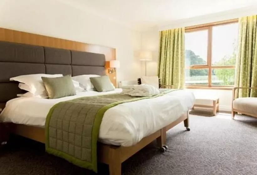 スタンダードシングルルーム, Champneys Forest Mere