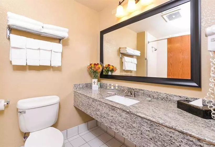سوییت, Country Inn & Suites By Radisson, Lincoln North Hotel And Conference Center, Ne