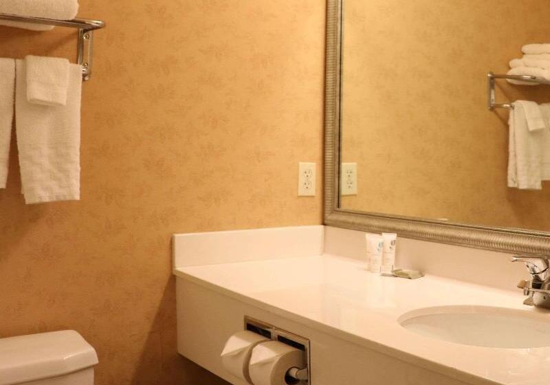 스탠다드 룸 킹사이즈 침대, Country Inn & Suites By Radisson, Lincoln North Hotel And Conference Center, Ne