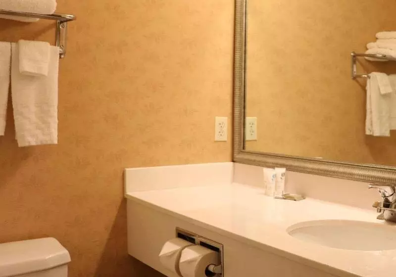 اتاق استاندارد با تخت بزرگ, Country Inn & Suites By Radisson, Lincoln North Hotel And Conference Center, Ne