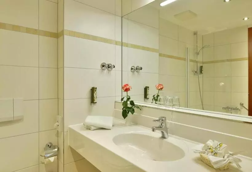 Standard-huone, Der Lindenhof
