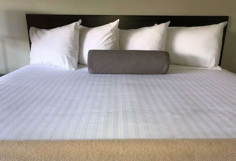 חדר דלוקס מותאם לאנשים עם מוגבלויות, Elevation Lodge