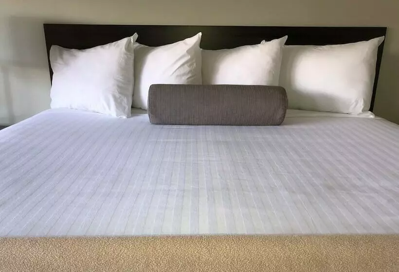 障害者適応デラックスルーム, Elevation Lodge