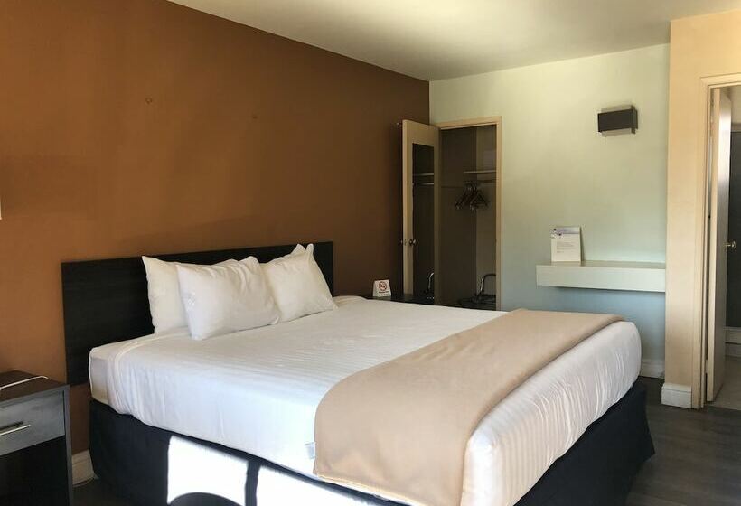 חדר דלוקס מותאם לאנשים עם מוגבלויות, Elevation Lodge