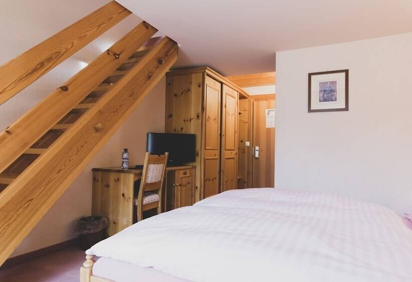 4인용 스탠다드 룸, Europe