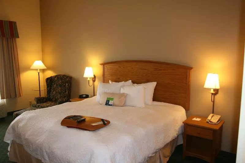 キングサイズベッドのスタンダードルーム, Hampton Inn Guntersville