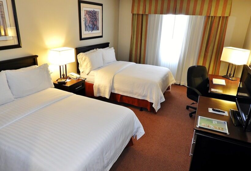 اتاق استاندارد با 2 تخت دوبل, Holiday Inn Reynosa Zona Dorada By Ihg