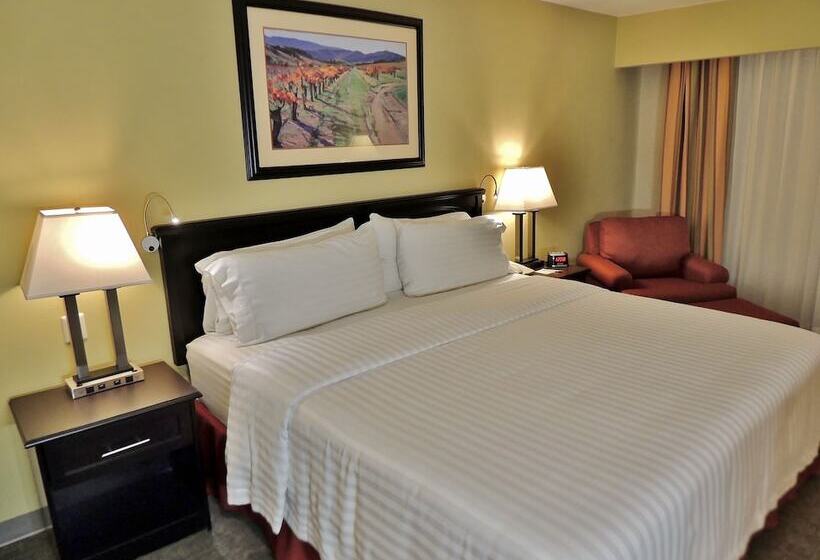 غرفة قياسية, Holiday Inn Reynosa Zona Dorada By Ihg