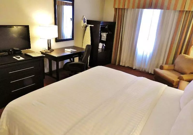 اتاق استاندارد با تخت بزرگ, Holiday Inn Reynosa Zona Dorada By Ihg
